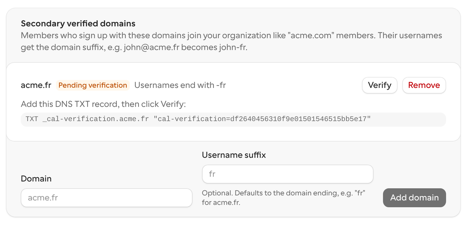 A secondary domain marked Pending verification, with the DNS TXT record and the Verify button