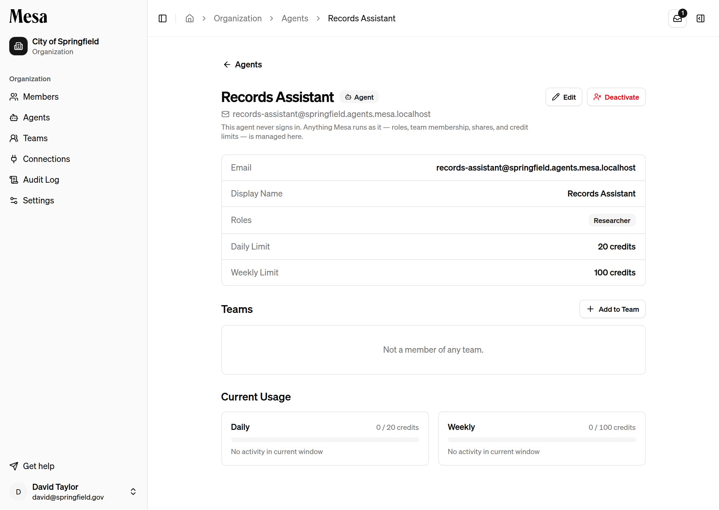 An agent's page showing its email, roles, credit limits, teams, and usage