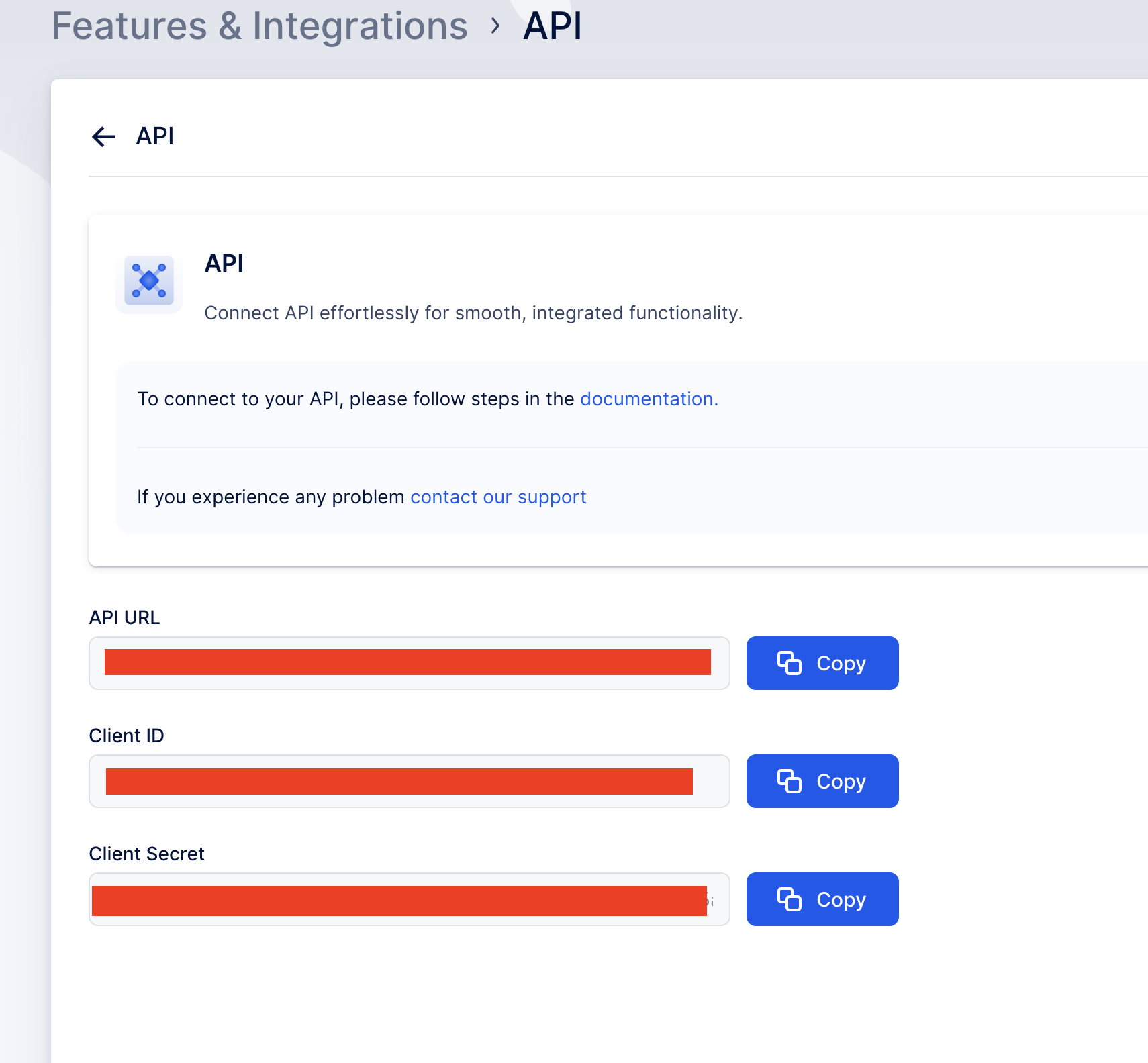 Copy API Key