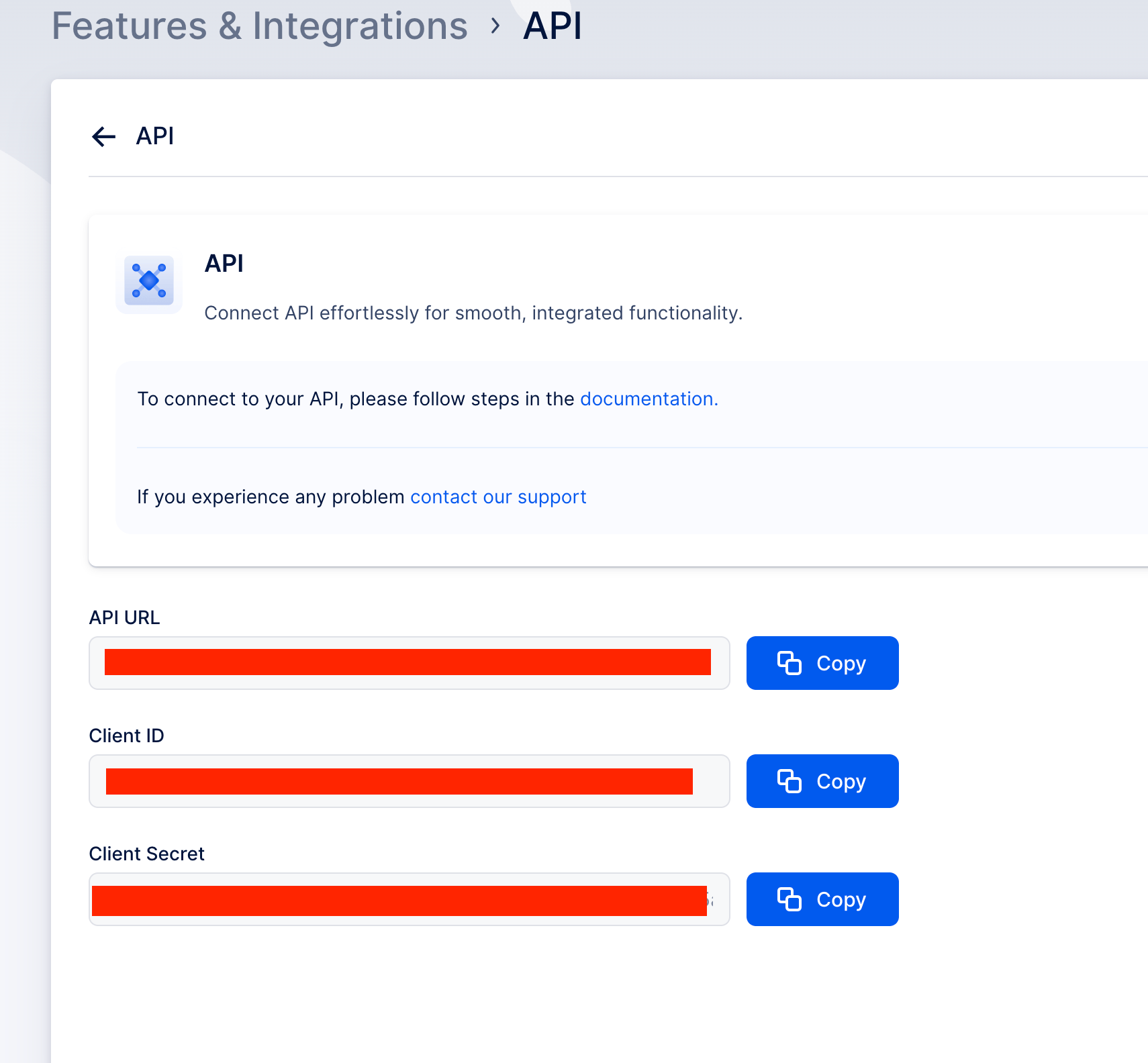 Copy API Key