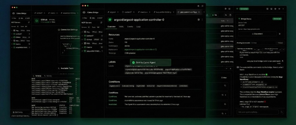 Calmo Bridge IDE integrated workspace showing terminal, file editor, and chat