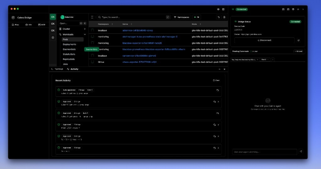 Activity panel showing command history with status indicators