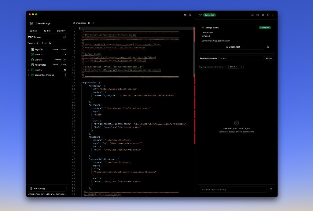 MCP server detail view showing server information