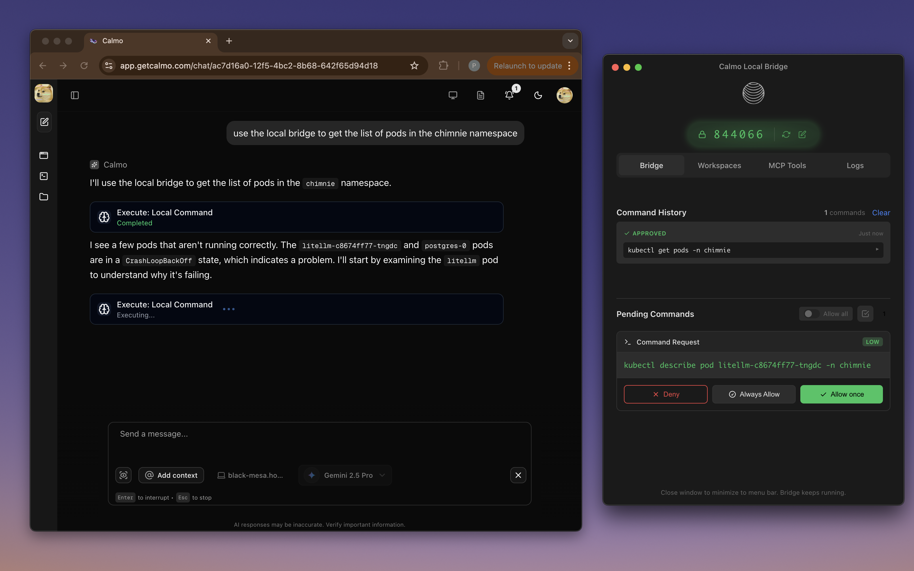 Calmo Local Bridge main interface showing connected state