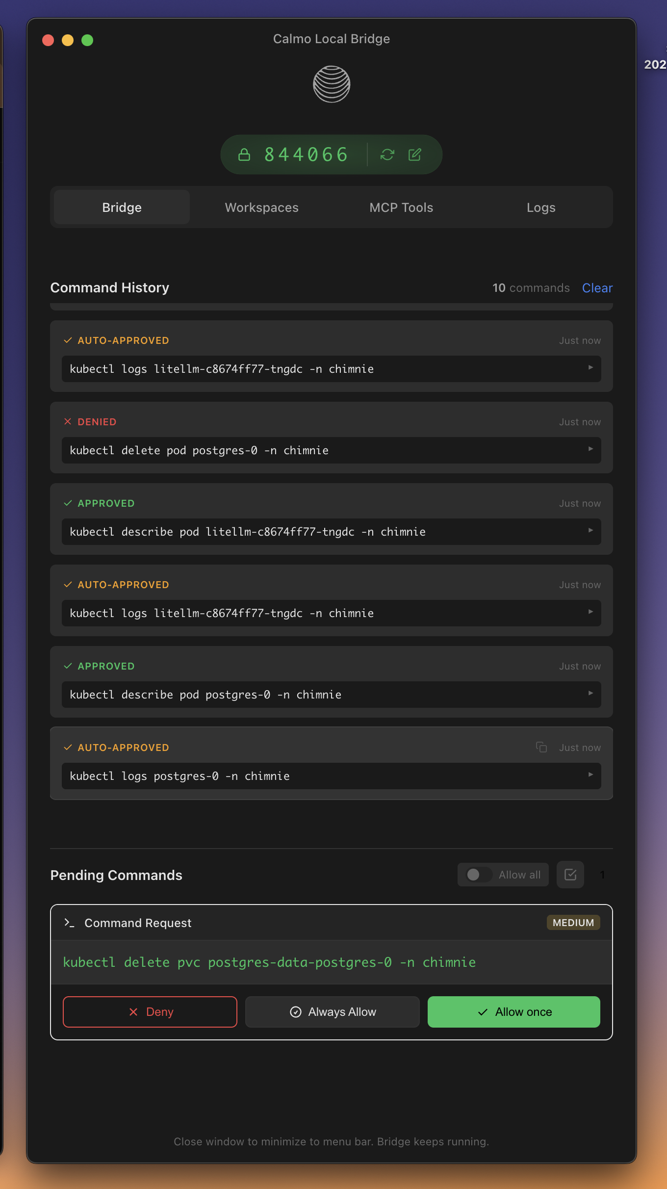 Command history showing approved and auto-approved commands
