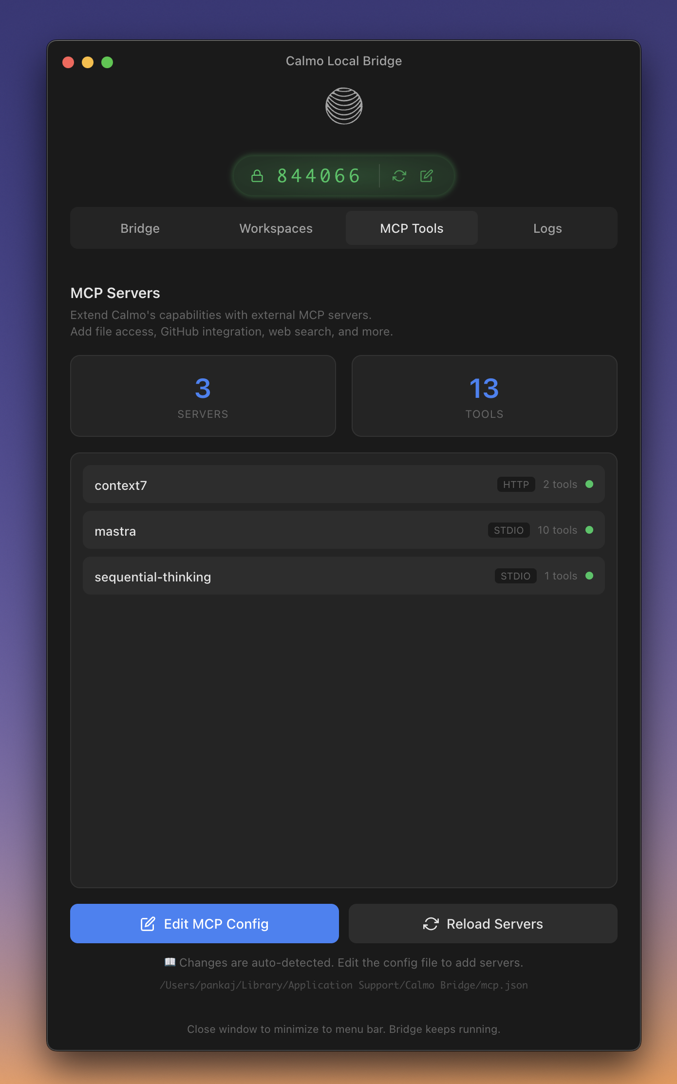 MCP Servers panel showing connected servers