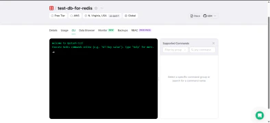 Running FLUSHDB in the Upstash CLI