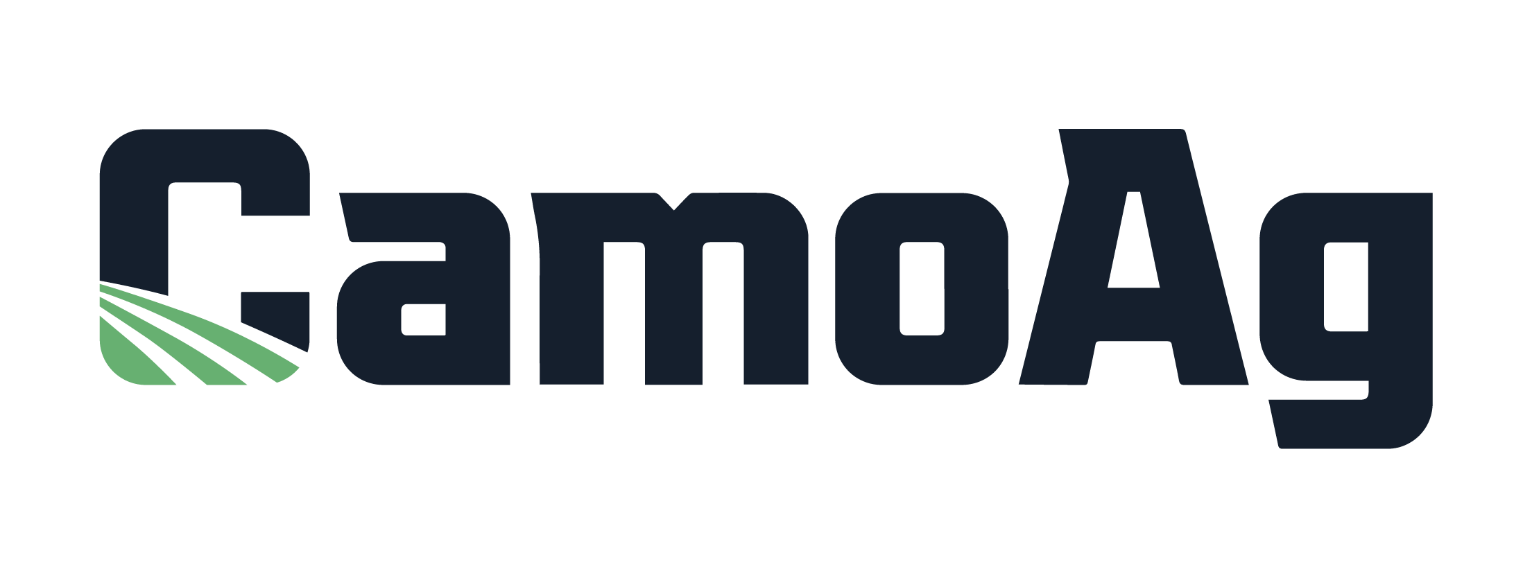 light logo