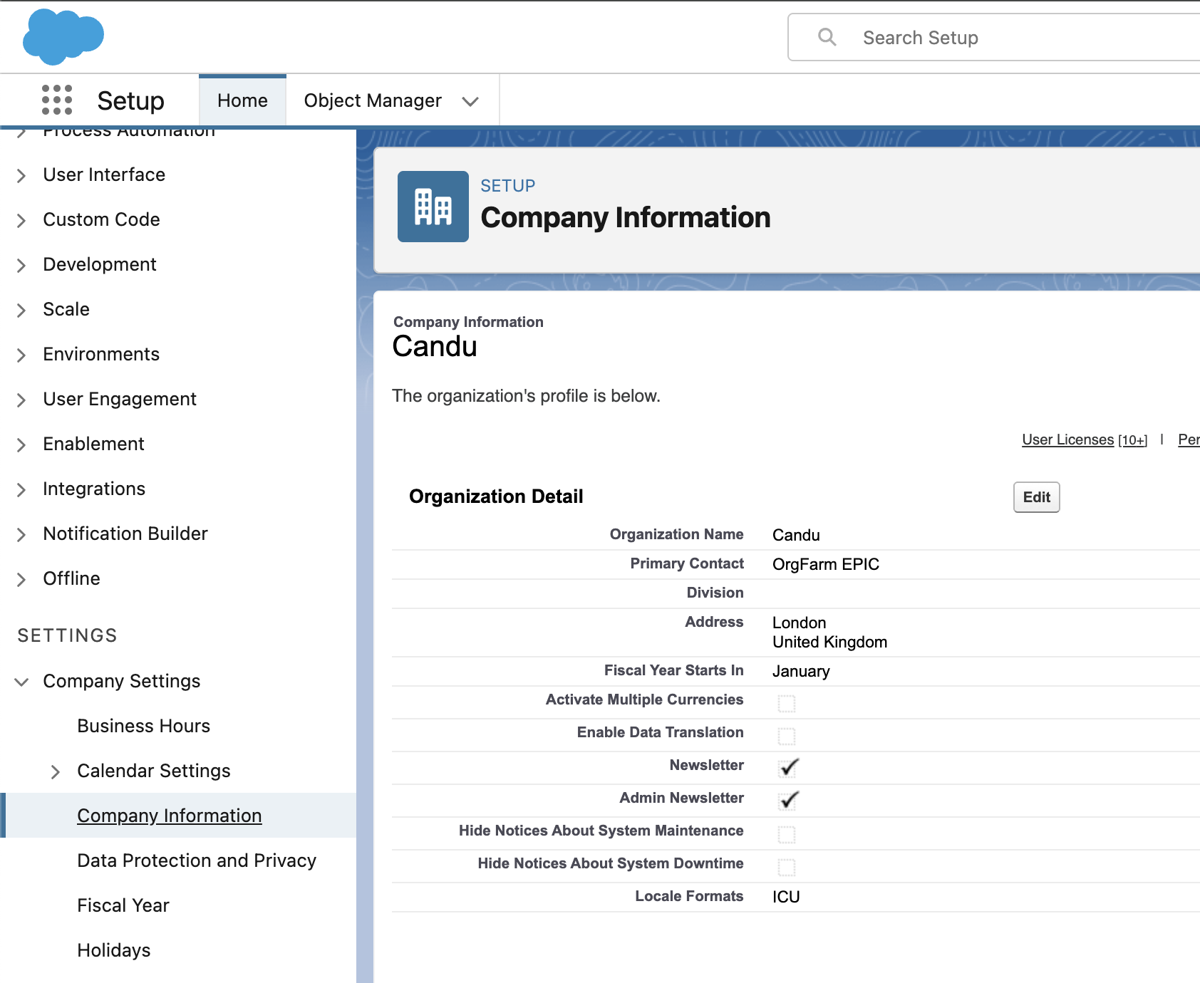Salesforce organization name