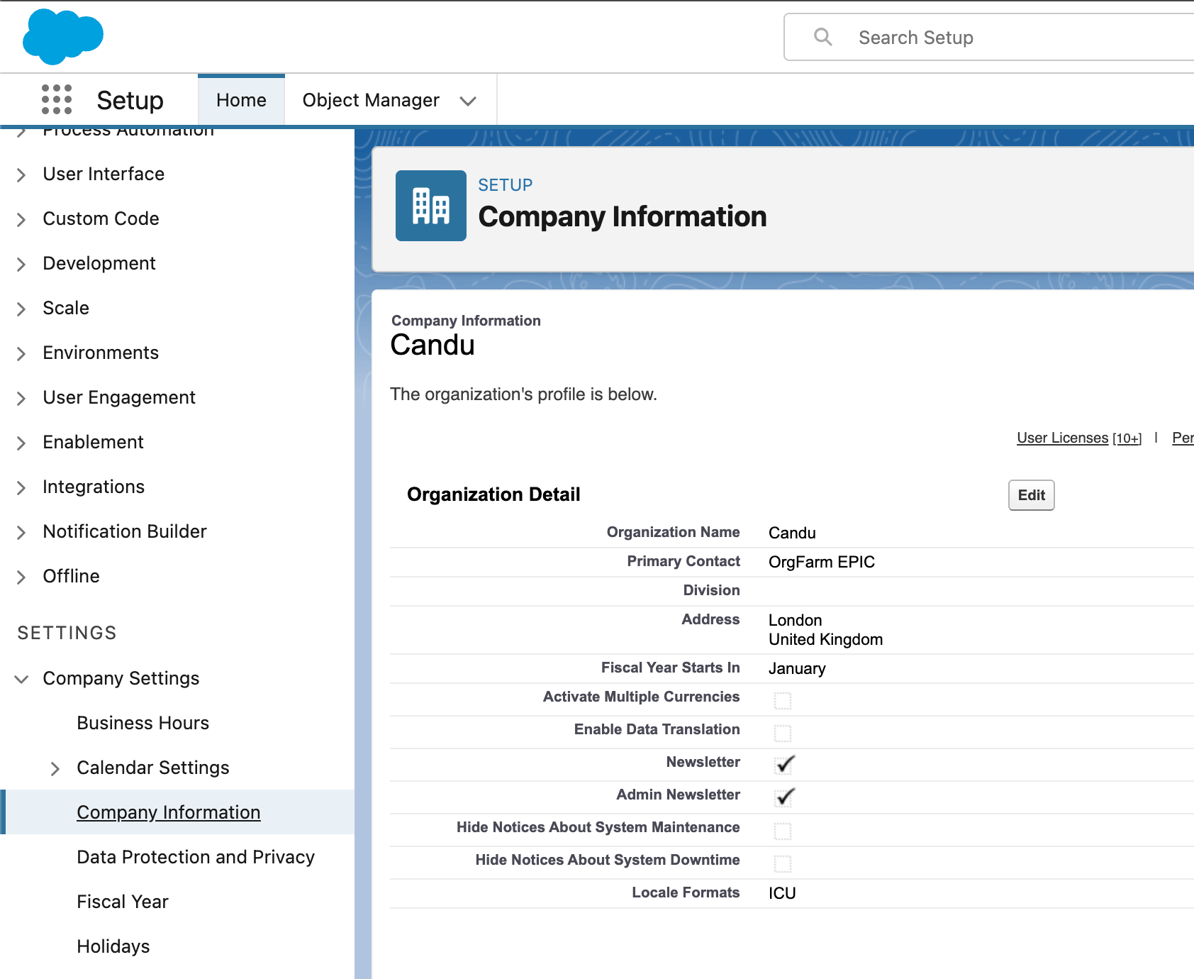 Salesforce organization name