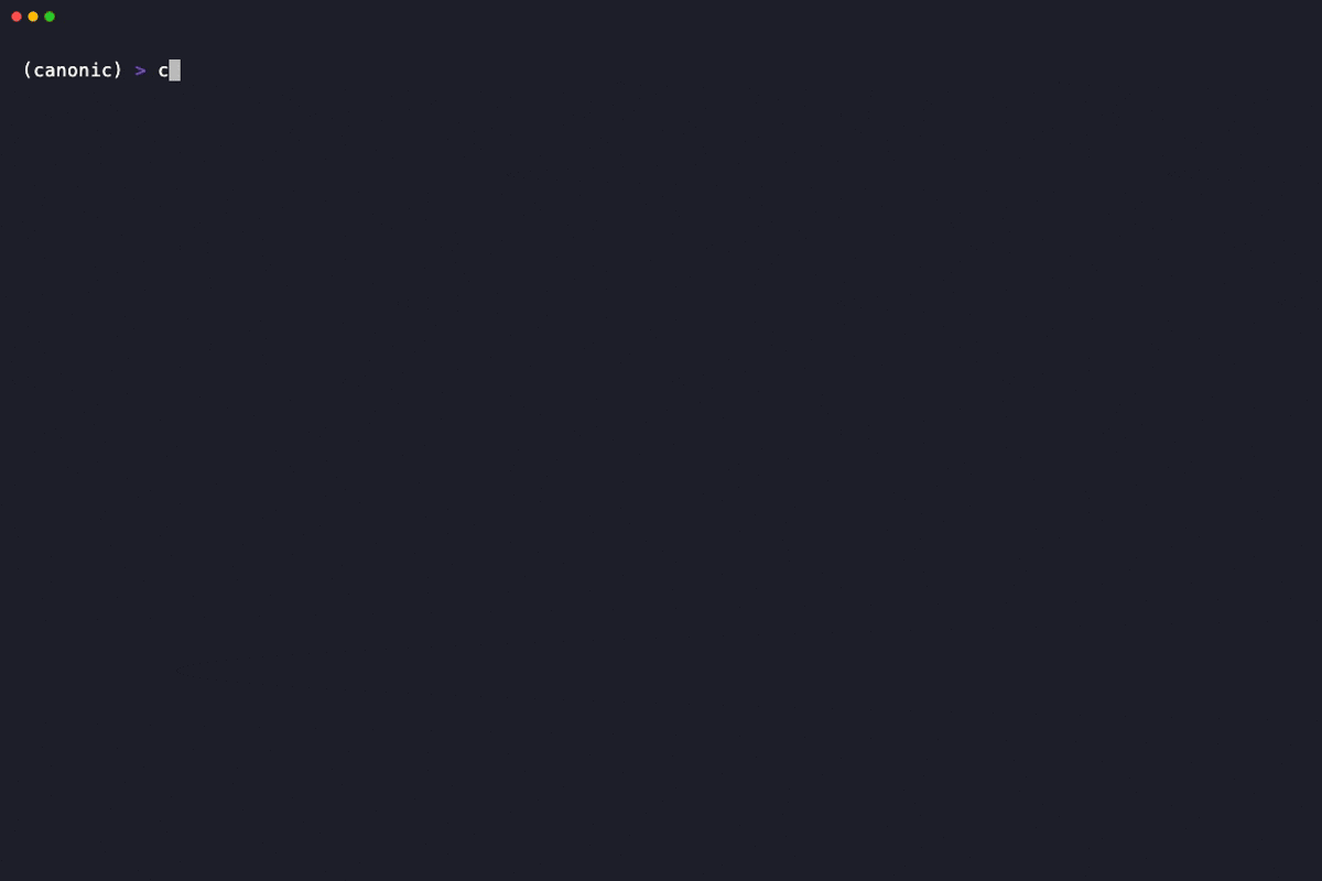 canonic setup walkthrough on the rental example