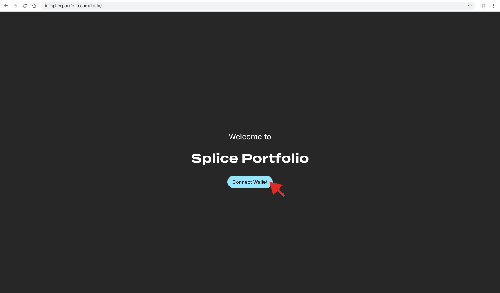 Splice Portfolio landing page after disconnecting