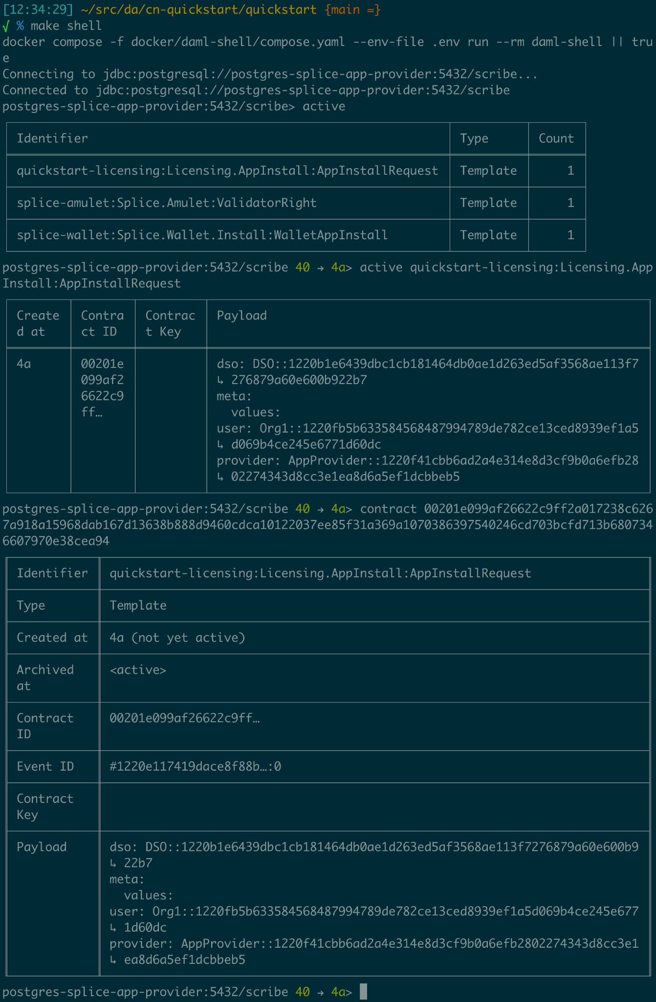 "Daml Shell command line interface"