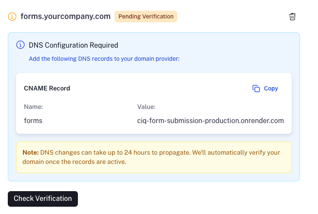 Custom Domain DNS Settings