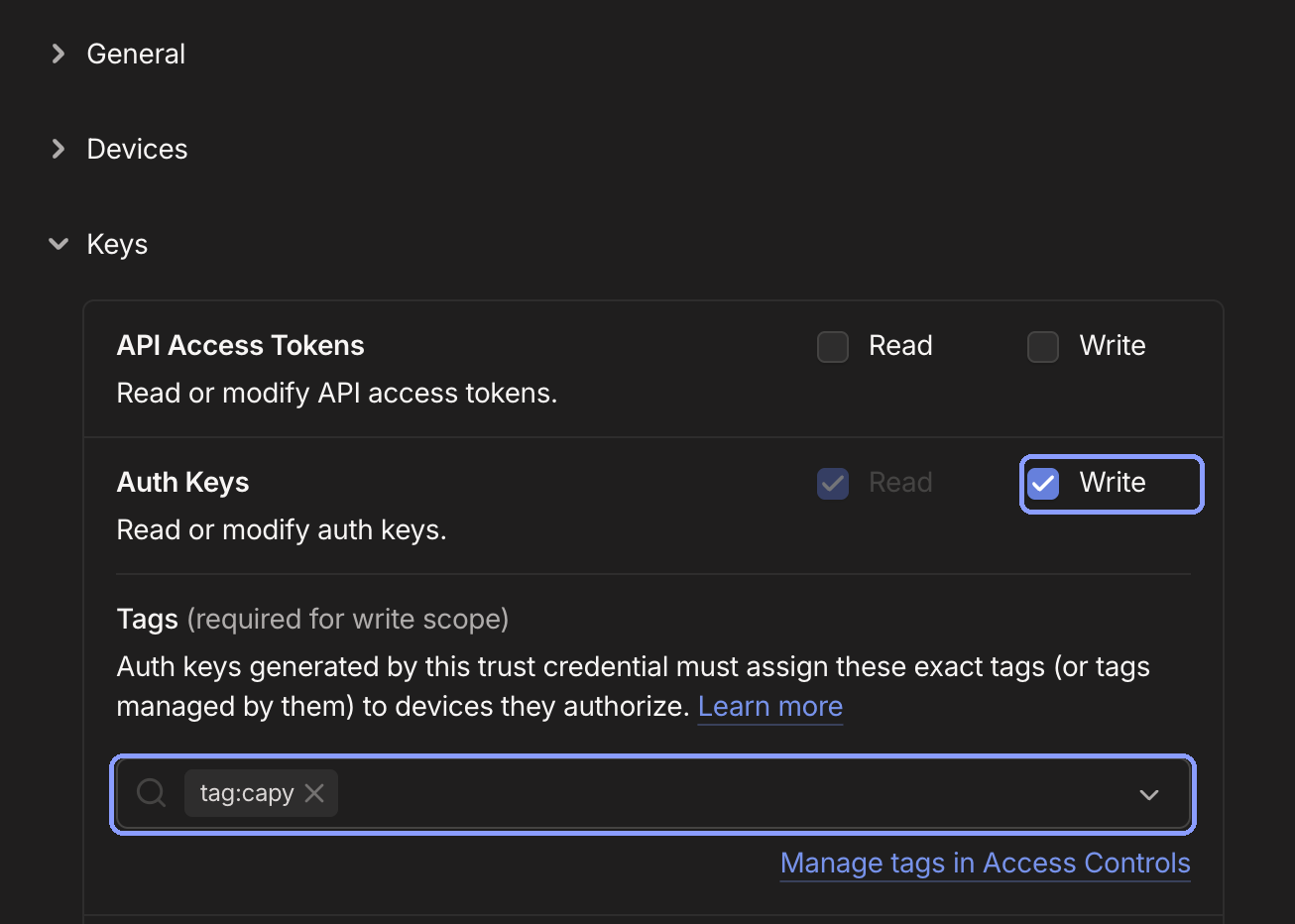 The Auth Keys scope with Write checked and tag:capy selected