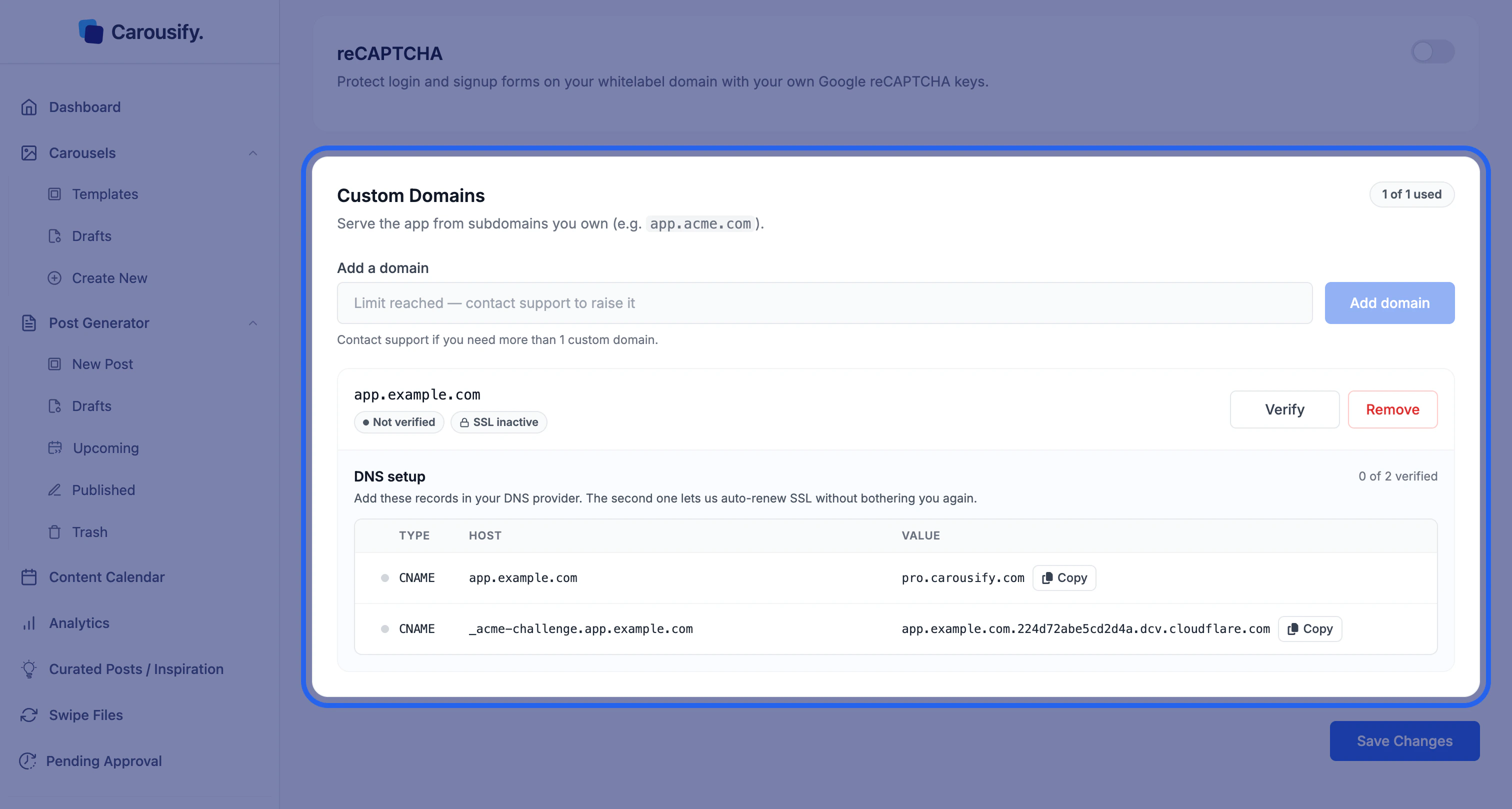 Custom Domains section of the Carousify Whitelabeling page, highlighted, showing the add-domain field and the DNS setup records for a domain