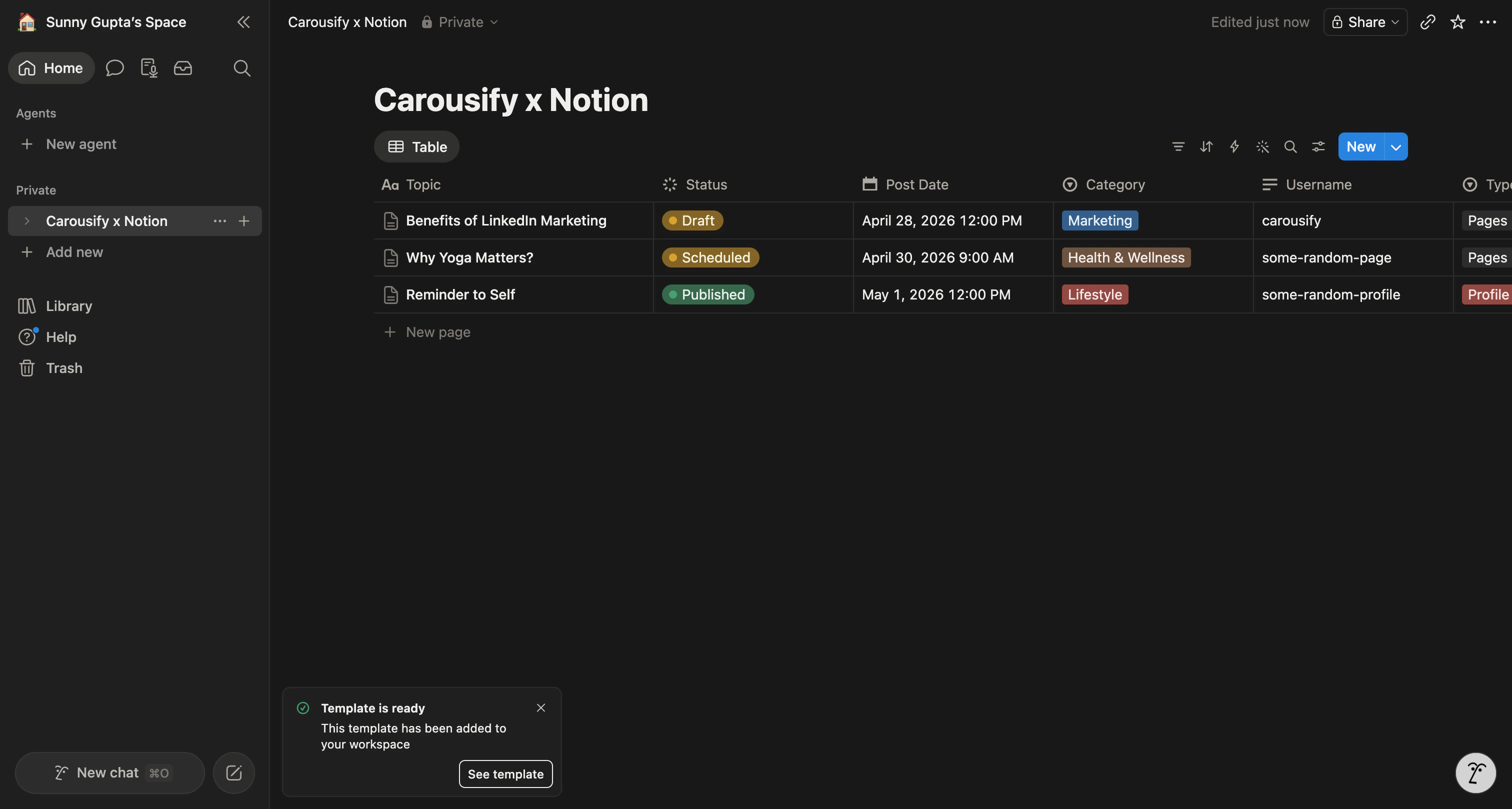 Carousify x Notion database open inside the user's Notion workspace after duplication