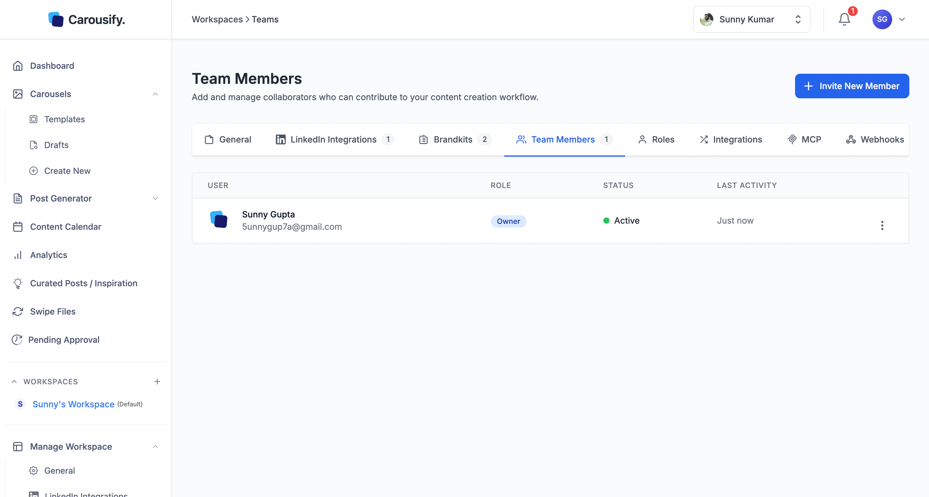 Team Members page showing the workspace owner in the members table with an Invite New Member button