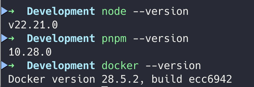 Node.js, pnpm, Docker ๋ฒ์ ํ์ธ