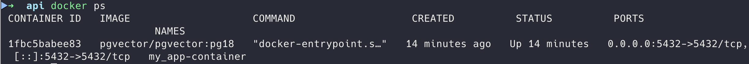 docker ps κ²°κ³Ό