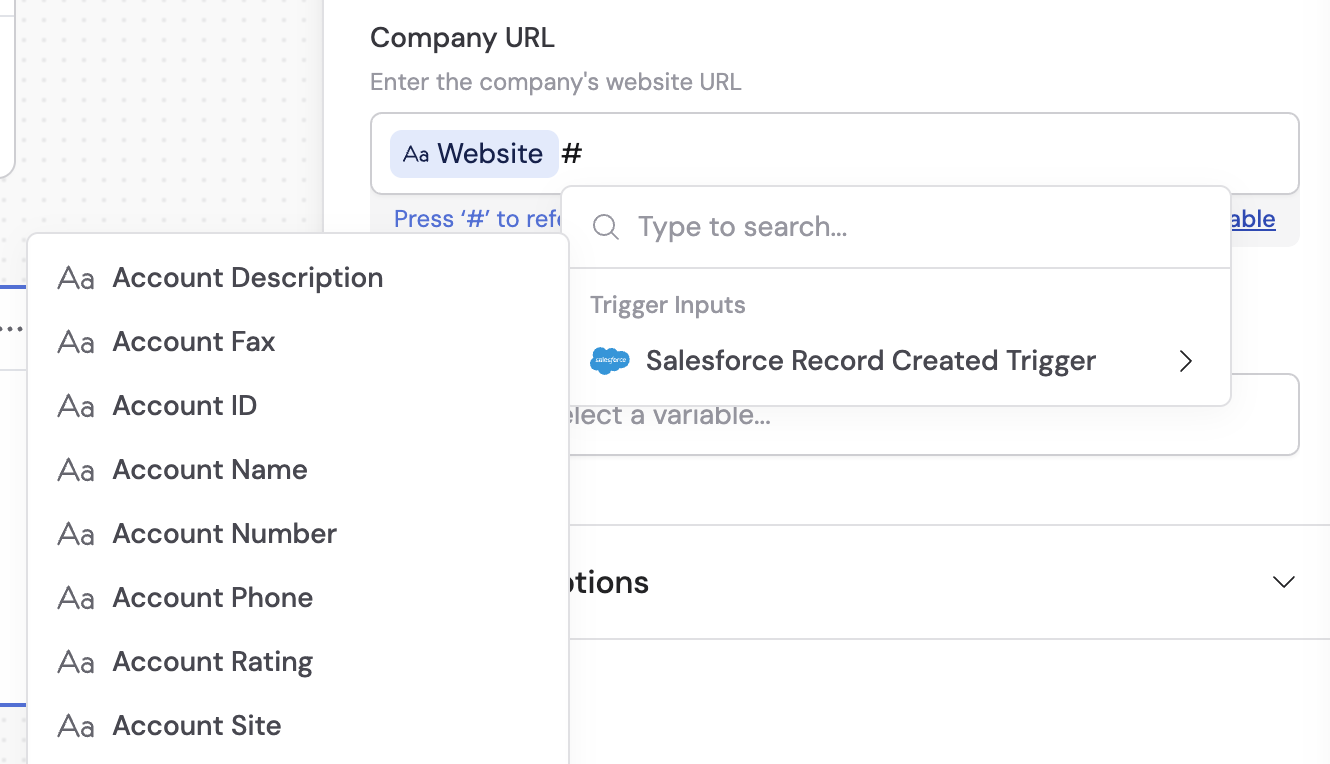 Variable picker showing available Salesforce record fields