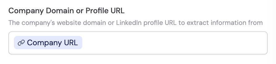 Company Domain or Profile URL field