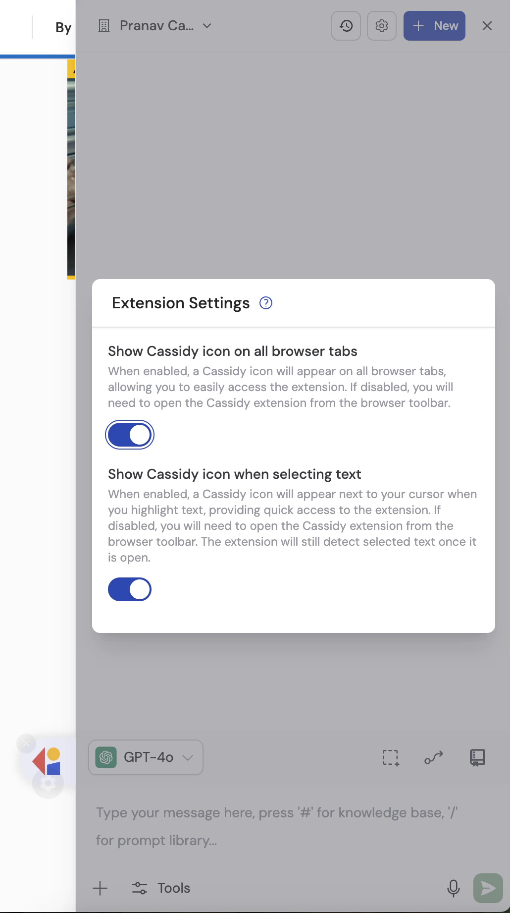 Cassidy extension settings with display toggle options