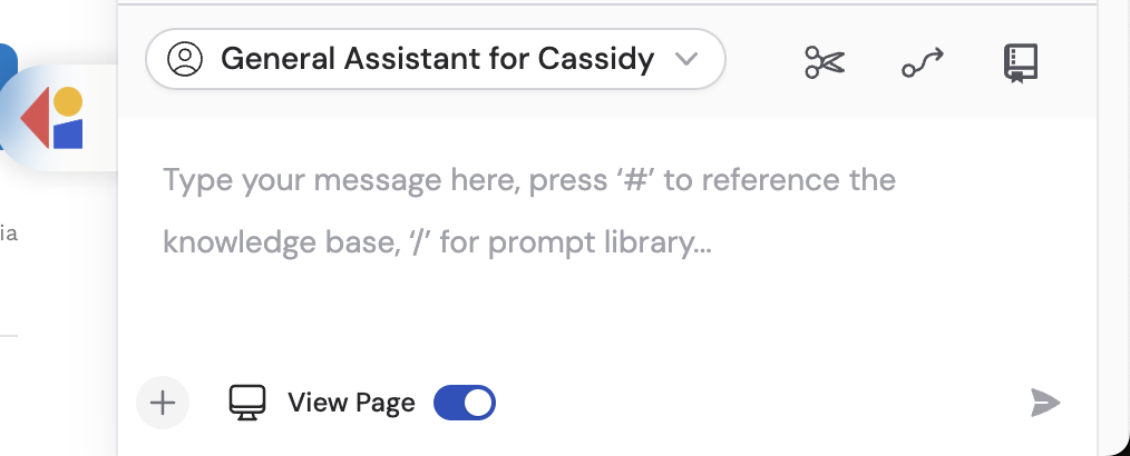 View Page toggle enabled below the Cassidy chat input