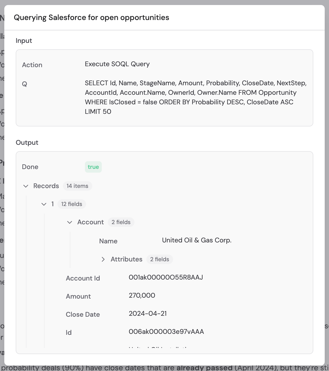 Expanded Salesforce action details showing the query and results