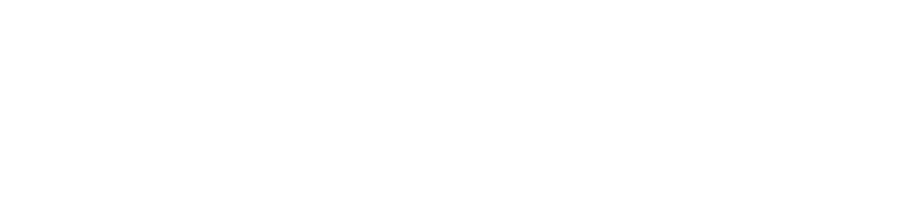 light logo