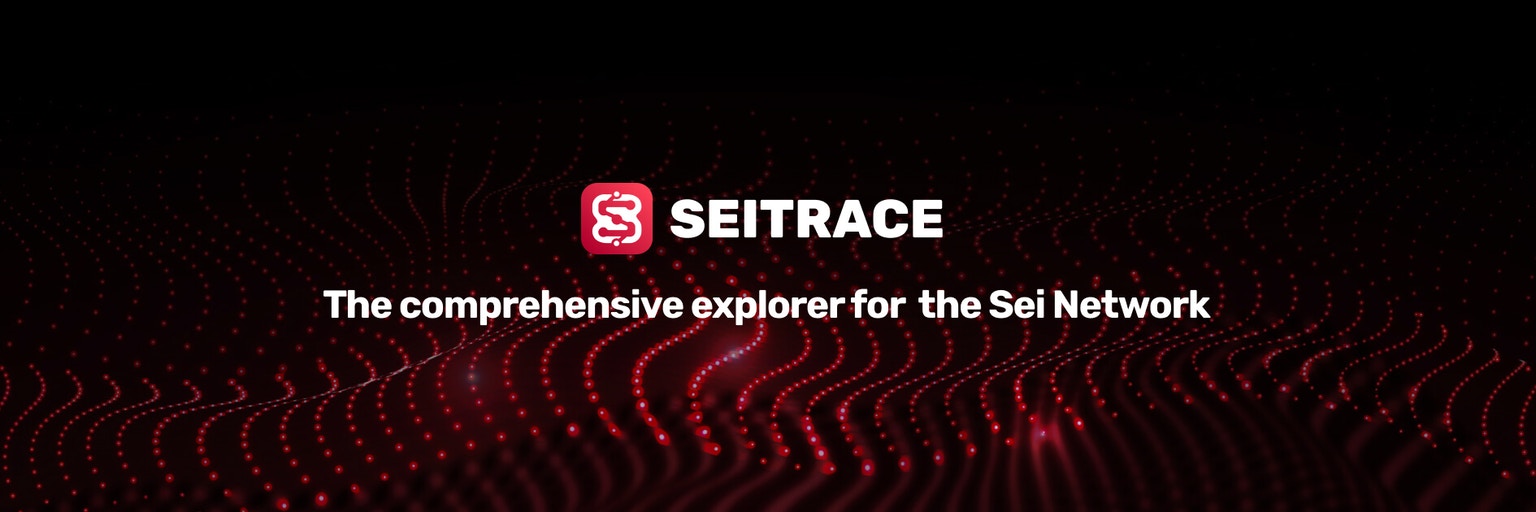 Seitrace Intro Avi