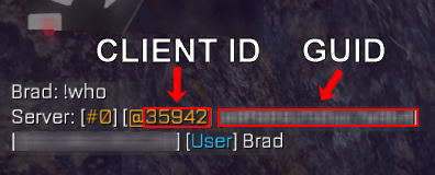 !who command example