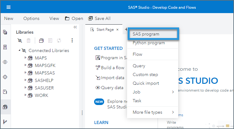 SAS Visual Analytics Client 08