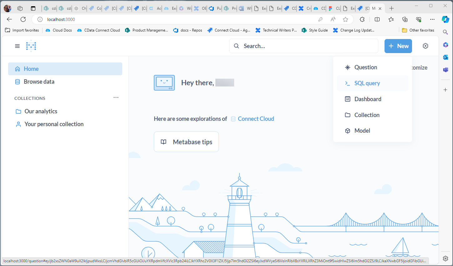 Metabase Client SQL Query