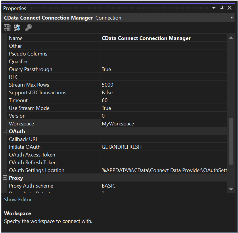 SSIS Specify Workspace