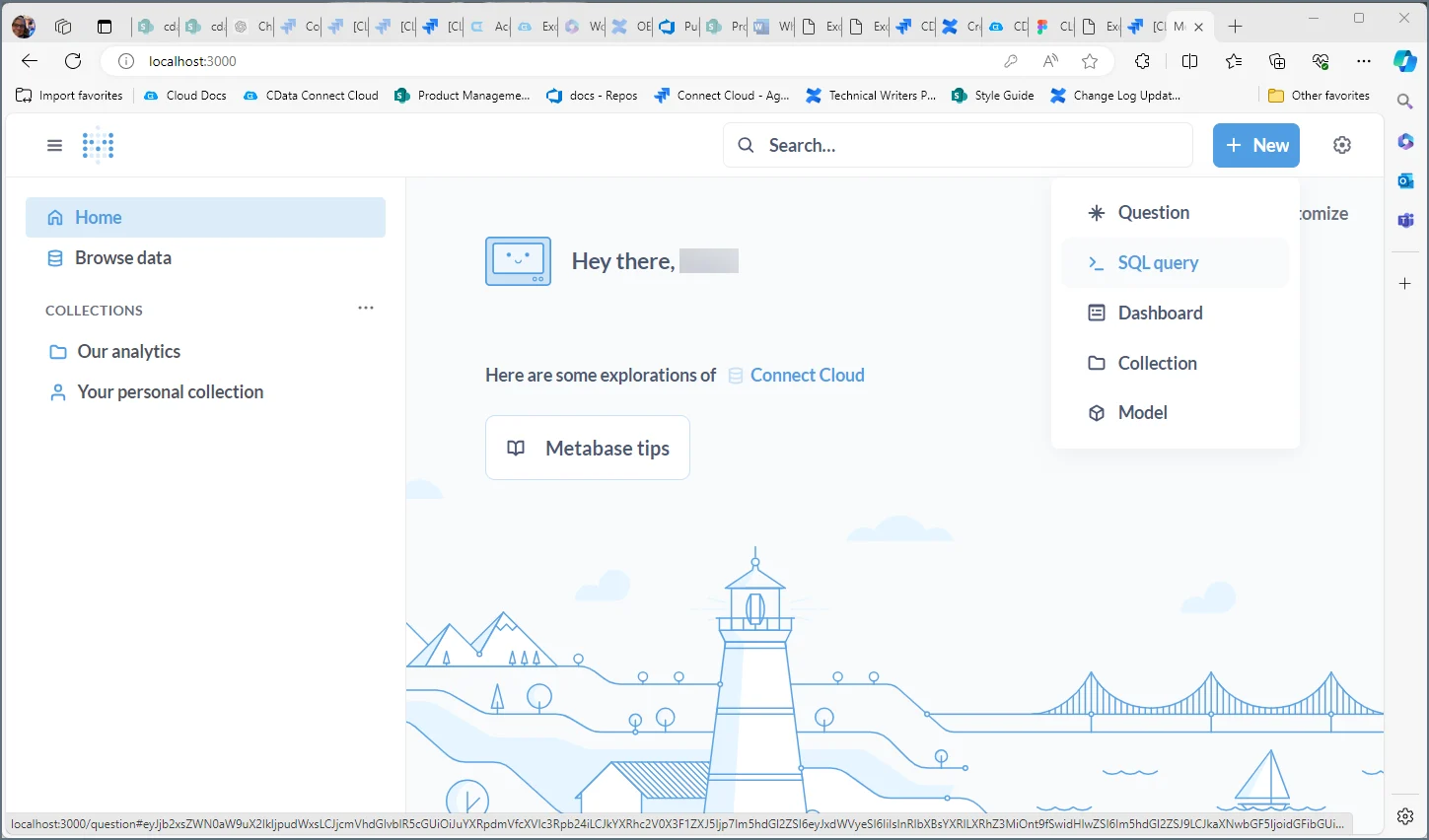 Metabase Client SQL Query