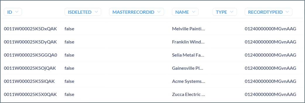 Metabase Client Query Results