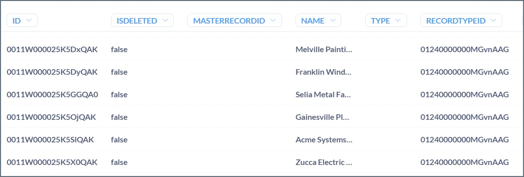 Metabase Client Query Results