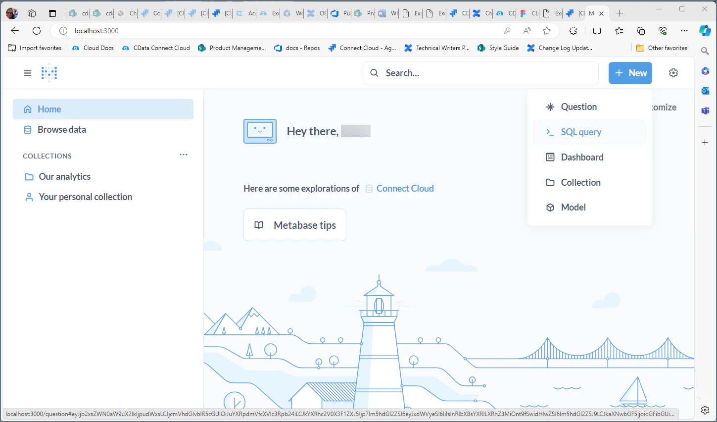 Metabase Client SQL Query
