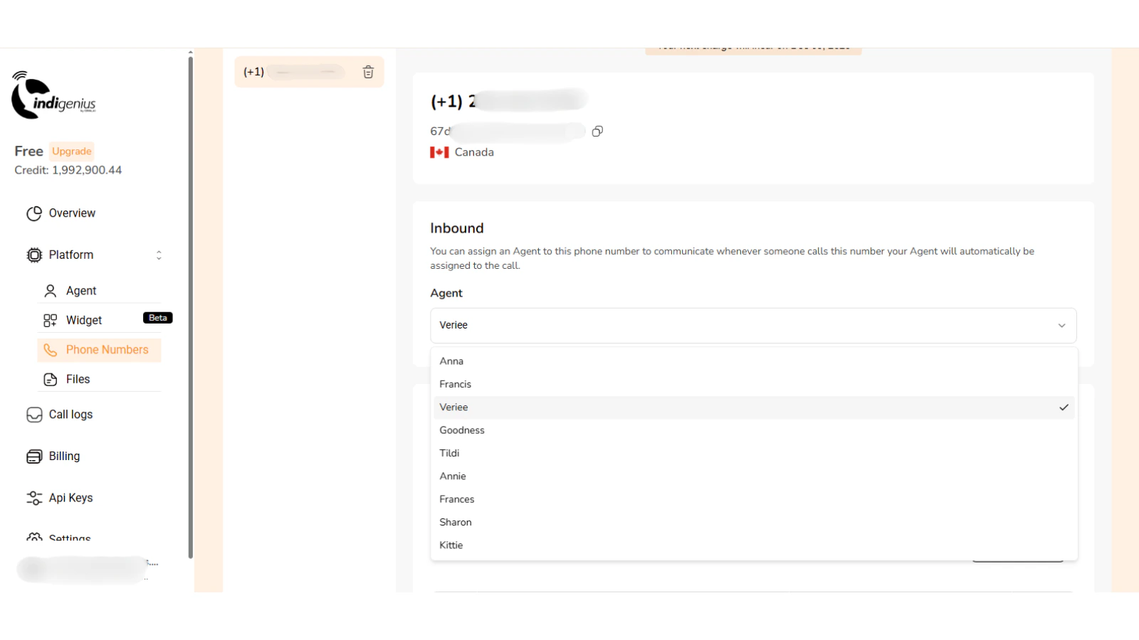 Add domain url Agent Gi