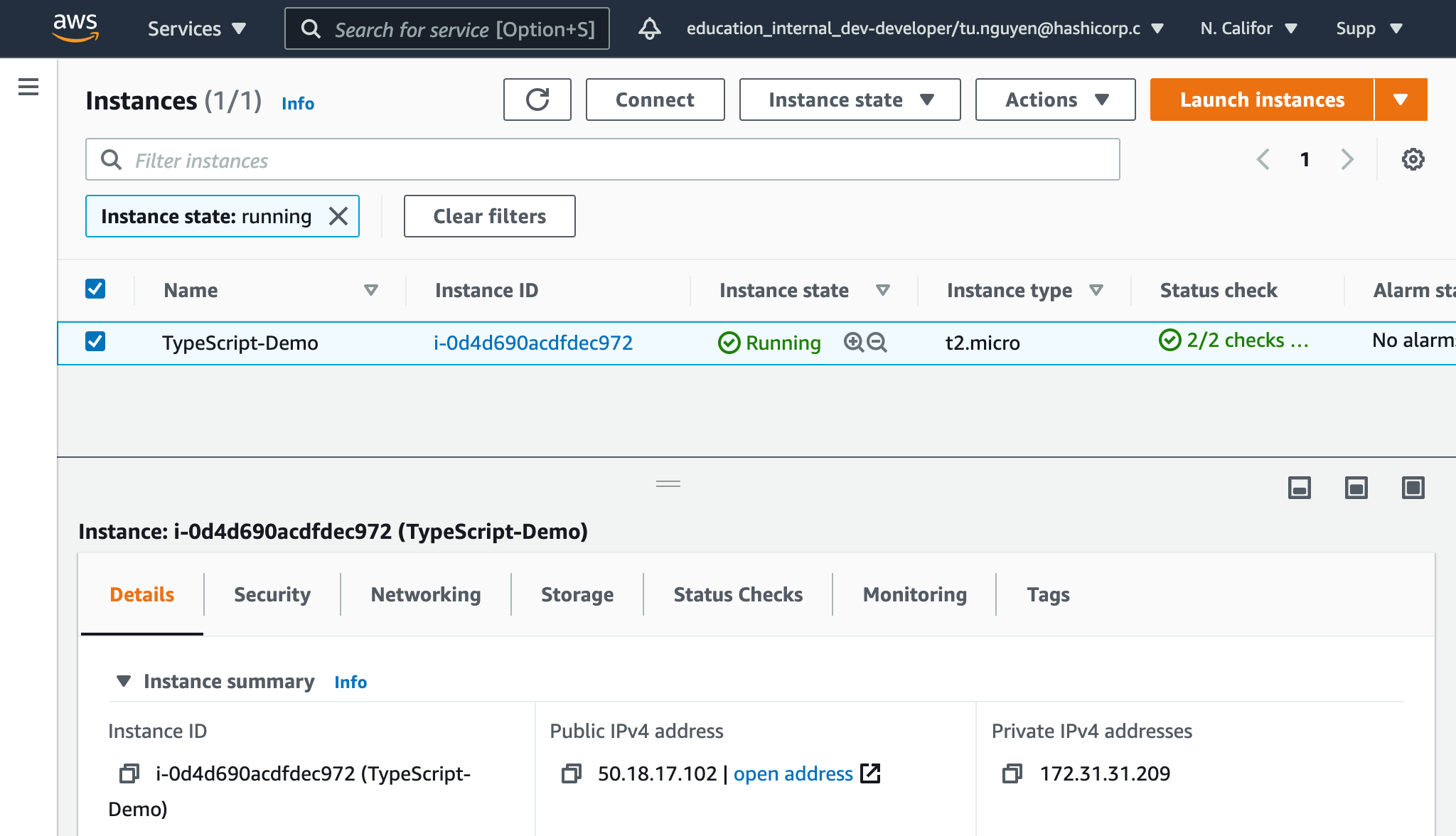 AWS Console showing the provisioned instance