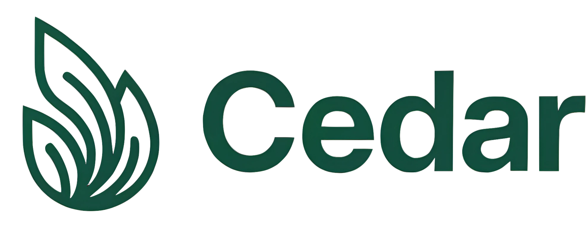 light logo