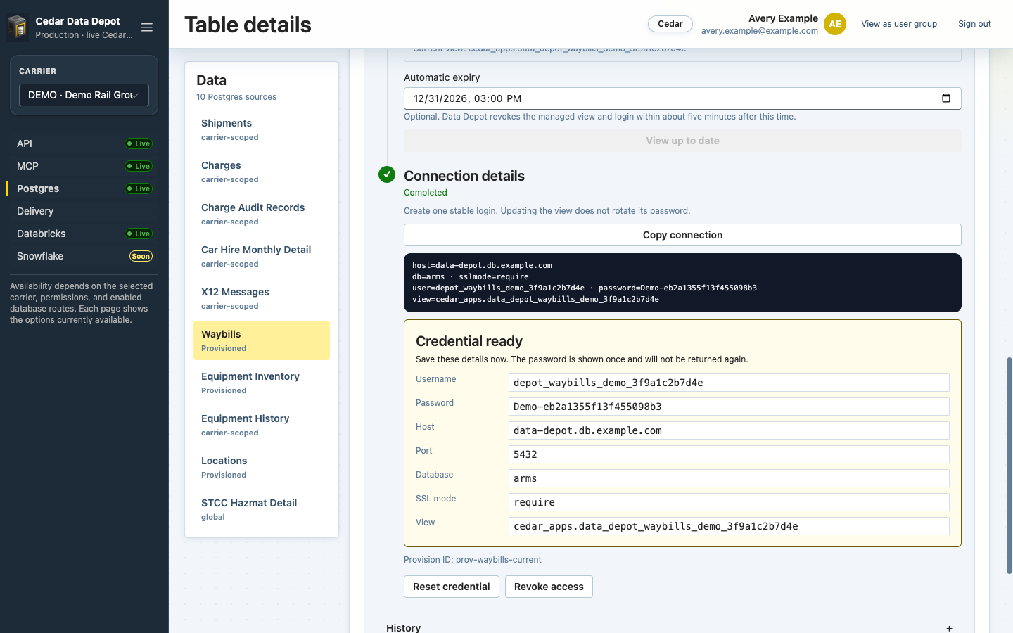 Credential ready panel showing username, password, host, port, database, SSL mode, and view