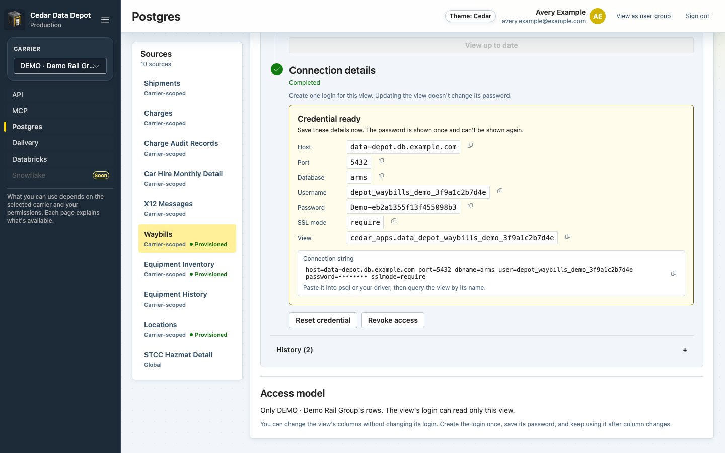 Credential ready panel with copy buttons for host, port, database, username, password, SSL mode, and view, and the connection string