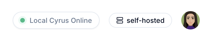Runtime badge showing "self-hosted" in the header