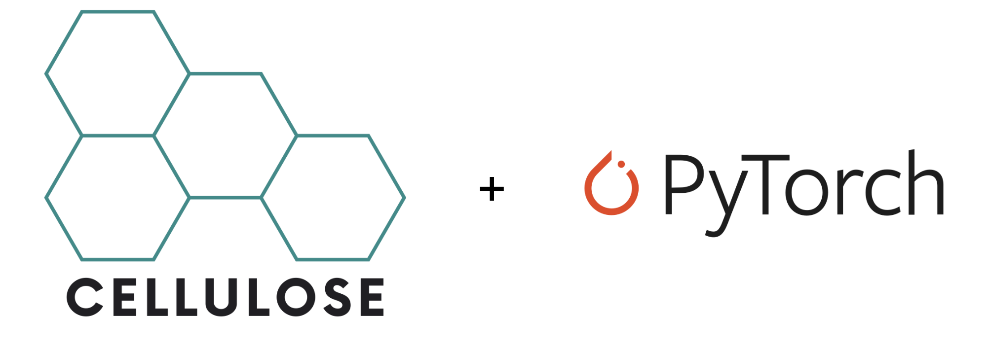 Cellulose + PyTorch