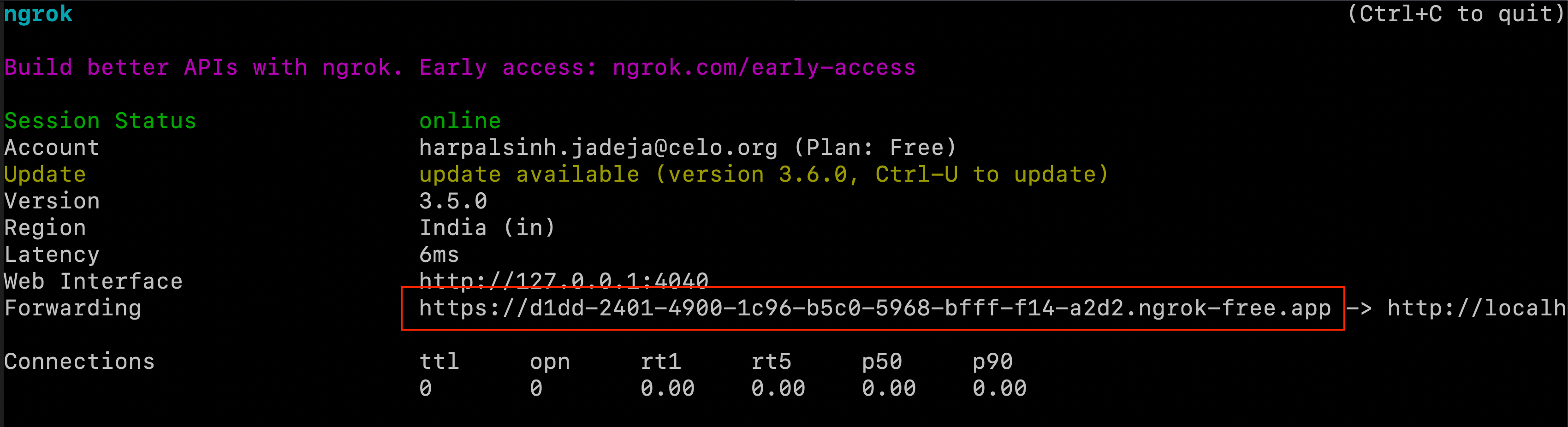 ngrok output