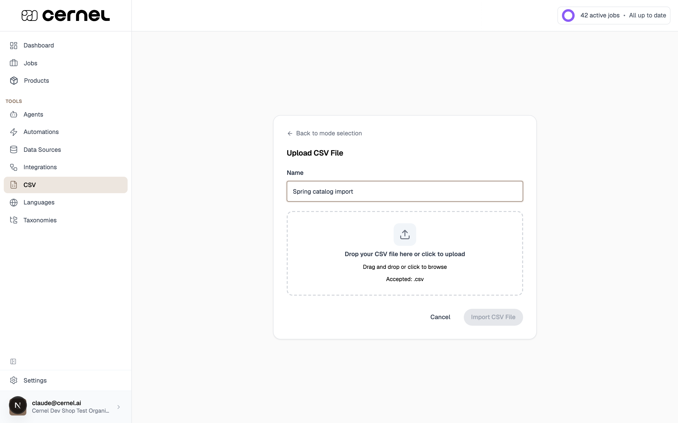 The upload step showing a Name field and a Drop your CSV file here upload area, with the Import CSV File button