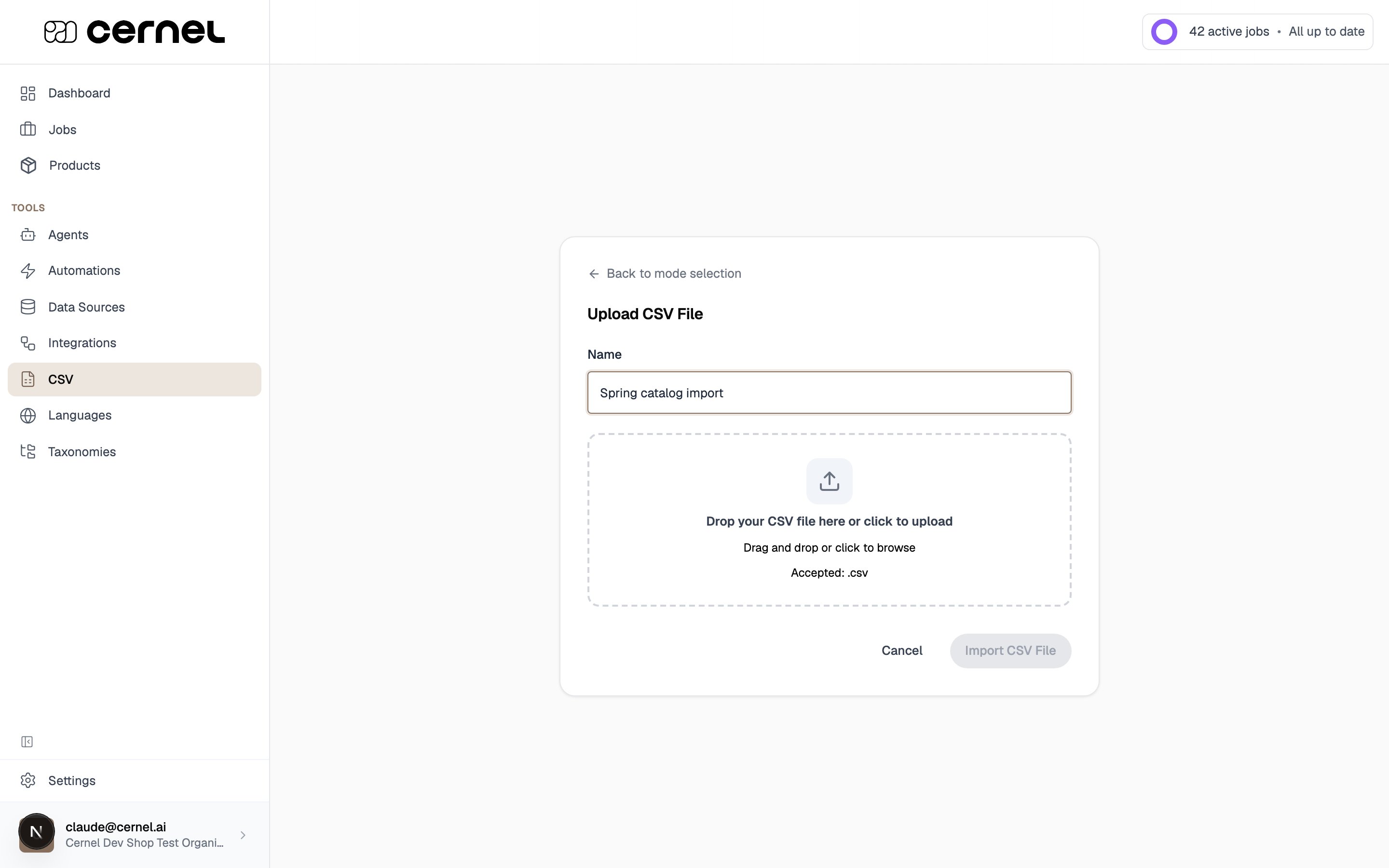 The upload step showing a Name field and a Drop your CSV file here upload area, with the Import CSV File button