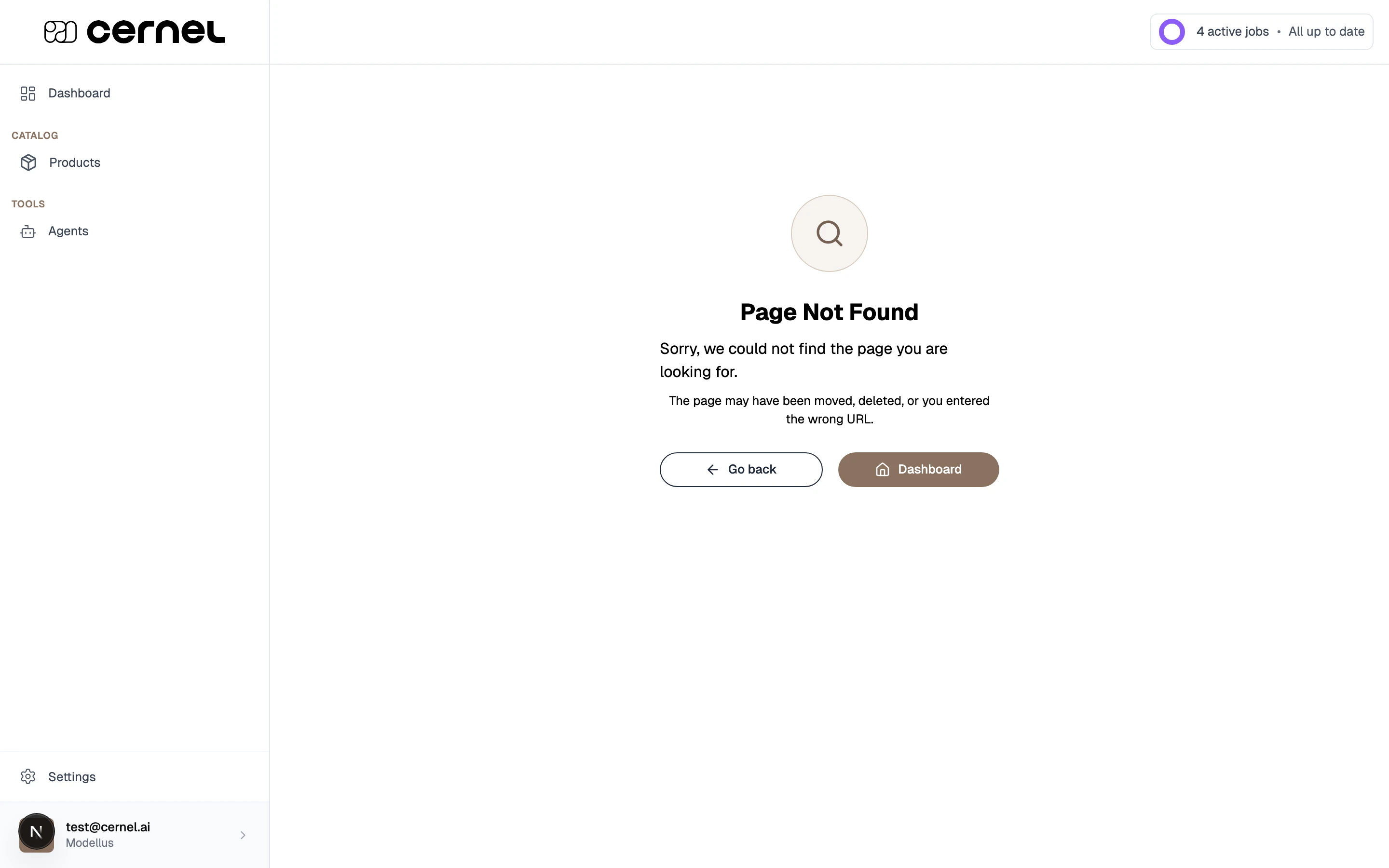 The Usage page showing total enrichments count, a trend chart for enrichments over time, a breakdown table by attribute type, and a monthly usage limit bar